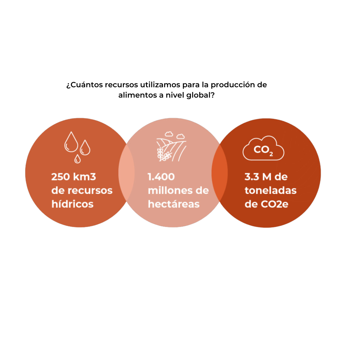 ¿Cuántos recursos utilizamos para la producción de alimentos a nivel global